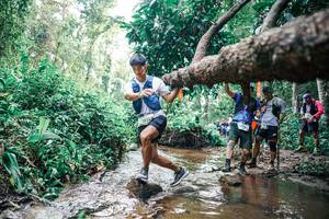 BIB: 
                            <button type="button" onclick="openModal(25373704)" class="btn btn-primary btn-sm float-right btn-popup" data-toggle="modal" data-target=".modal-high-quality">
                        <i class="fas fa-shopping-cart"></i> Add to Cart
                    </button>
                                            <button type="button" onclick="isThisMe(25373704, true)" class="btn btn-success btn-sm float-right btn-popup btn-isme hidden" data-toggle="tooltip" data-placement="bottom" title="นี่คือรูปของคุณใช่ไหม คลิกที่นี่เพื่อเอาเข้าอัลบั้ม">
                        <i class="fas fa-plus"></i> Add to album
                    </button>
                    <button type="button" onclick="isThisMe(25373704, false)" class="btn btn-warning btn-sm float-right btn-popup btn-isnotme hidden">
                        <i class="fas fa-ban"></i> Remove from album
                    </button>